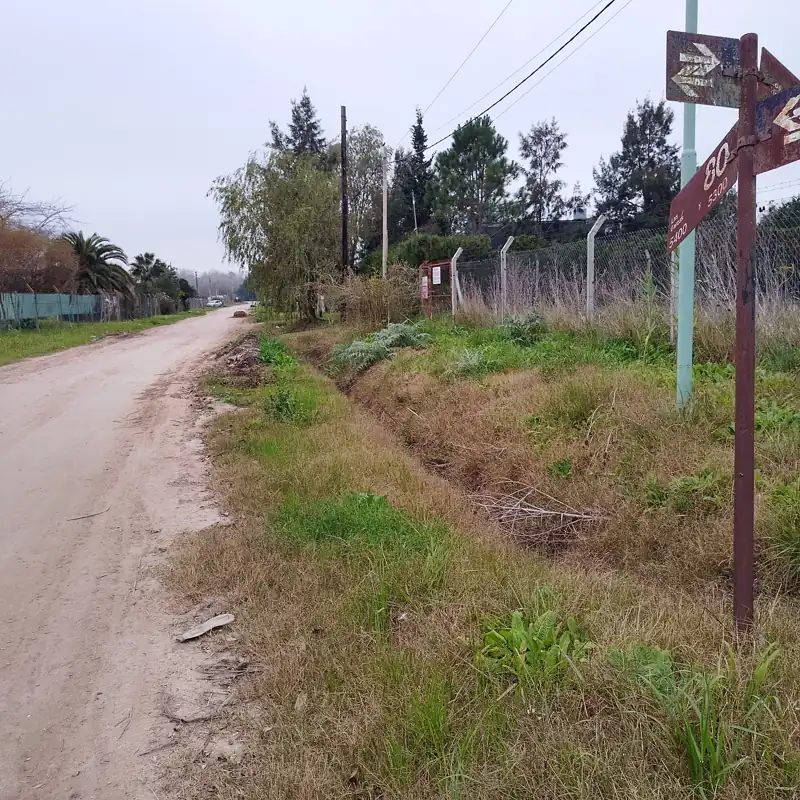 Foto del reporte