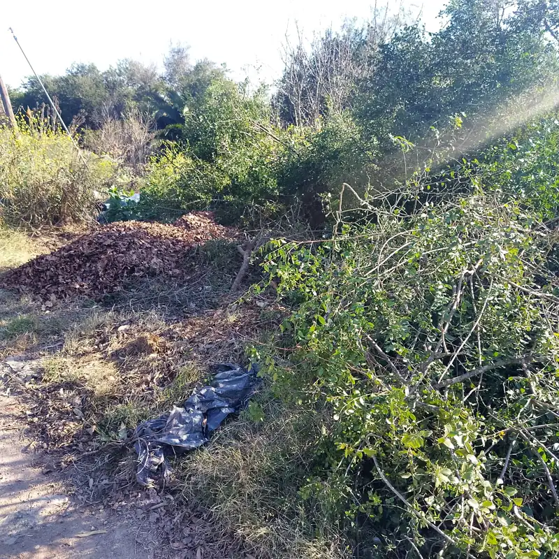 Foto del reporte