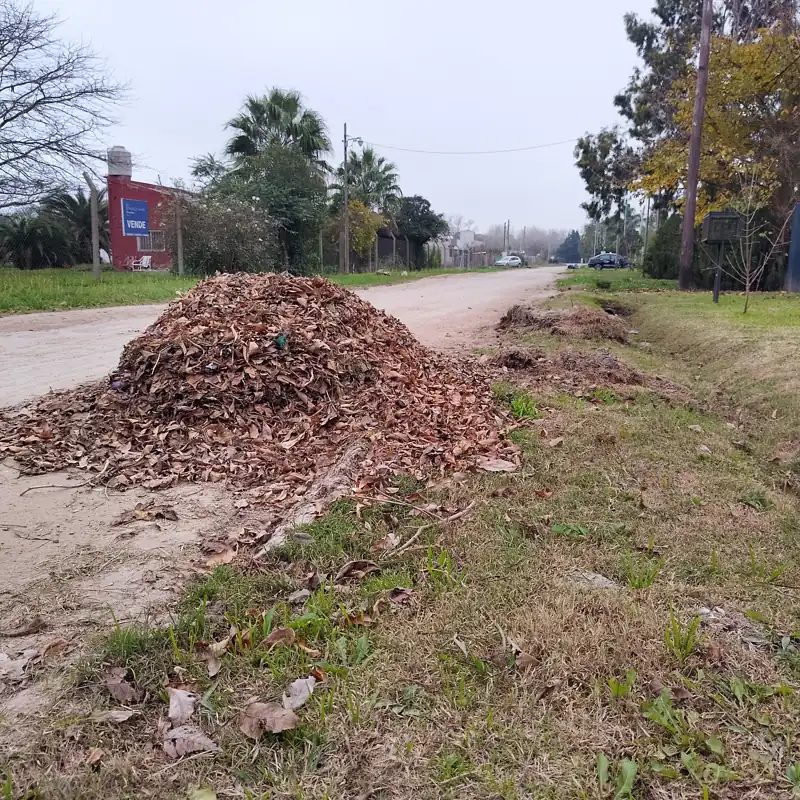 Foto del reporte