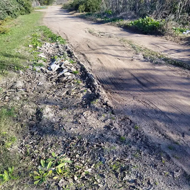 Foto del reporte