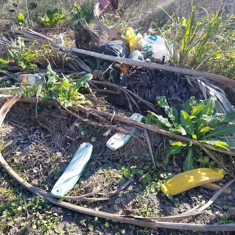 Foto del reporte