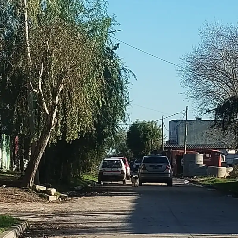 Foto del reporte
