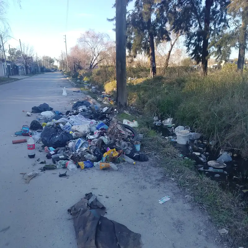 Foto del reporte